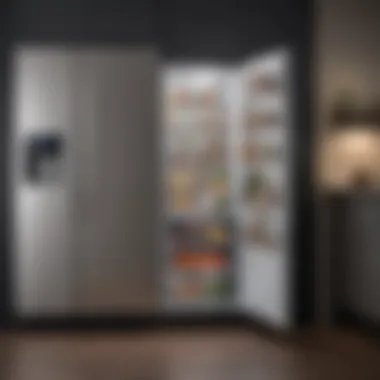 A Comprehensive Guide to the 53 Inch Tall Refrigerator: Functionality and Design Introduction