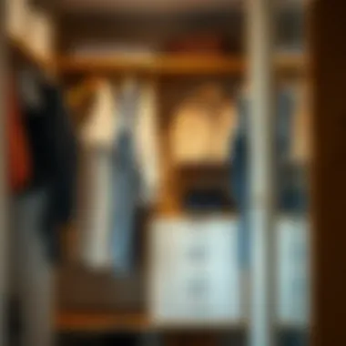 An organized closet space demonstrating the practicality of mobile rods