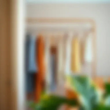 A stylish mobile closet rod showcasing versatility in design