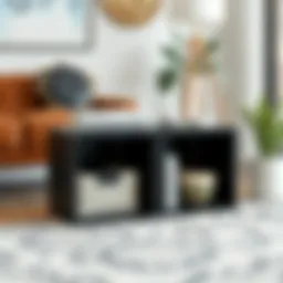 Comprehensive Guide to 2 Cube Storage Units in Black Introduction