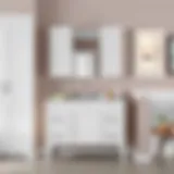 Elegant 48-inch sink base cabinet showcasing modern design.