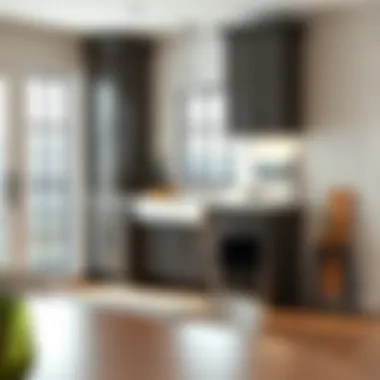 Installation of a 48-inch sink base cabinet in a contemporary setting.