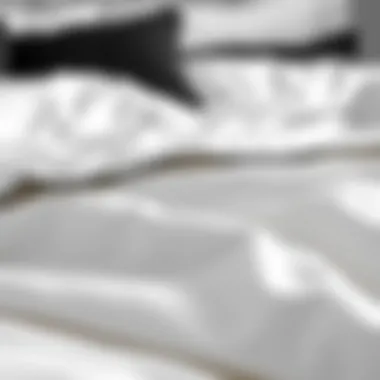 Close-up of luxurious fabric in black and white bedding