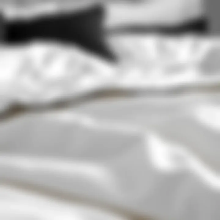 Close-up of luxurious fabric in black and white bedding