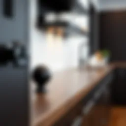 Sophisticated black cabinet knobs on modern kitchen cabinetry