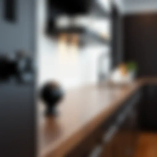 Sophisticated Black Cabinet Knobs Sophisticated black cabinet knobs on modern kitchen cabinetry