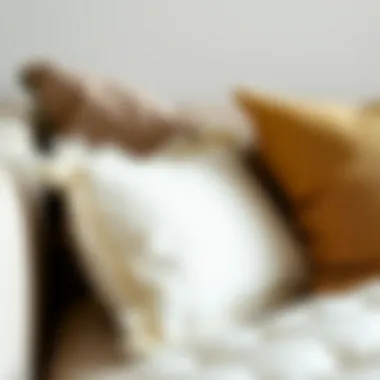 Comparative Analysis of Duck Feather and Down Pillow Fillings Comparative analysis of duck feather and down pillow fillings