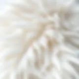 Luxurious texture of duck down feathers