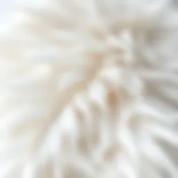 Luxurious texture of duck down feathers