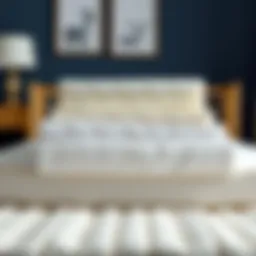 Various foam crib mattress toppers displayed for comparison