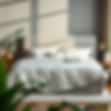 Contemporary Design Trends in King Bedspreads Contemporary design trends in king bedspreads highlighting modern aesthetics