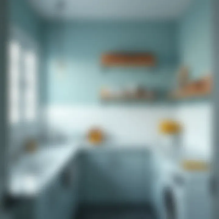 Functional laundry space layout