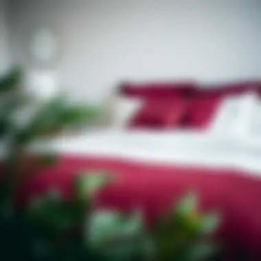 Visual Guide for Caring for Maroon Comforter Set Care tips for maintaining maroon bedding displayed visually