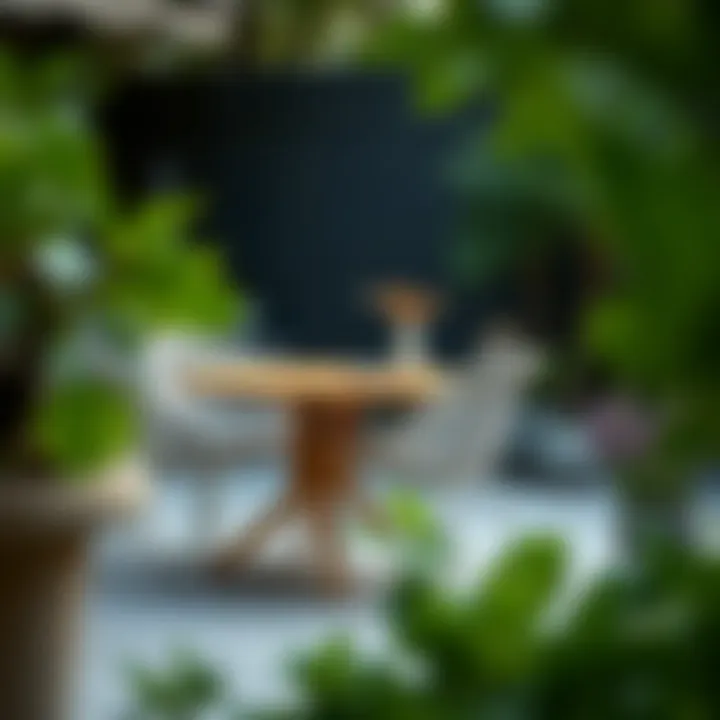 Maintenance tips for outdoor chairs showcased visually