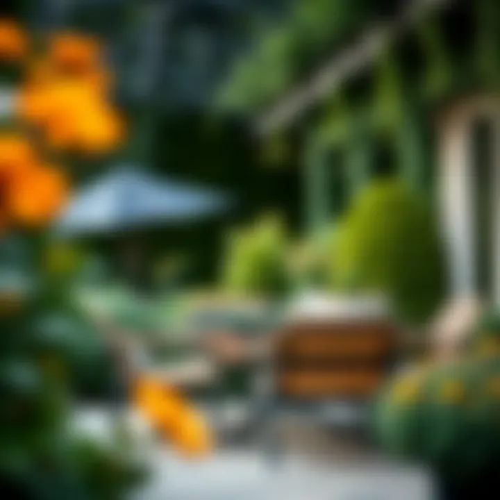 Stylish outdoor dining chairs in a garden setting