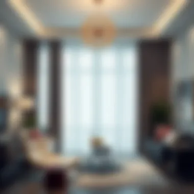 Sheer Privacy Curtains in a Modern Living Room Elegant living room featuring sheer privacy curtains