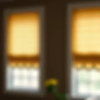 Various scalloped window shade design samples displayed together