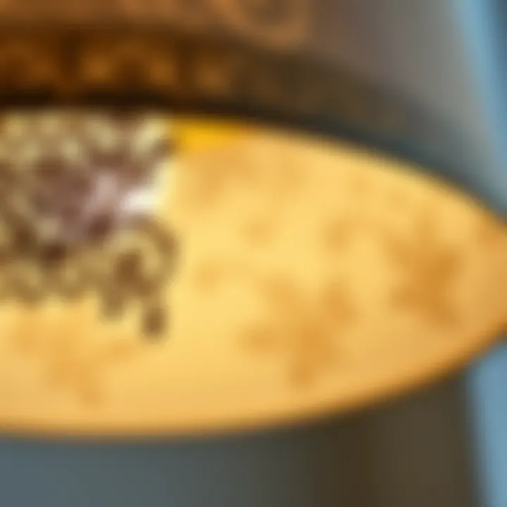 Intricate Handcrafted Lampshade Close-up of a handcrafted lampshade showcasing intricate design