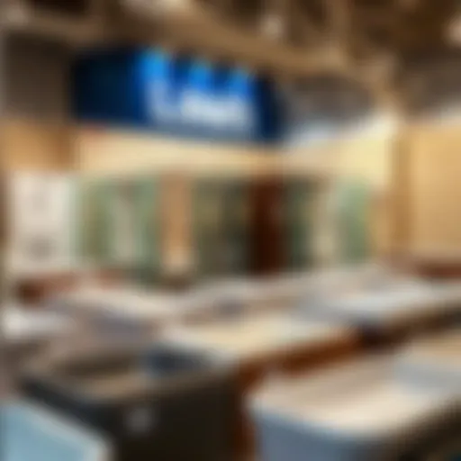 Showcase of Shower Base Options Diverse selection of shower bases on display