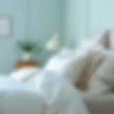 Exploring the Aesthetic and Functional Aspects of Aqua and White Comforters Introduction