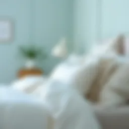 Exploring the Aesthetic and Functional Aspects of Aqua and White Comforters Introduction