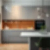 Exploring the Aesthetic and Functionality of Matte Gray Kitchen Cabinets Introduction