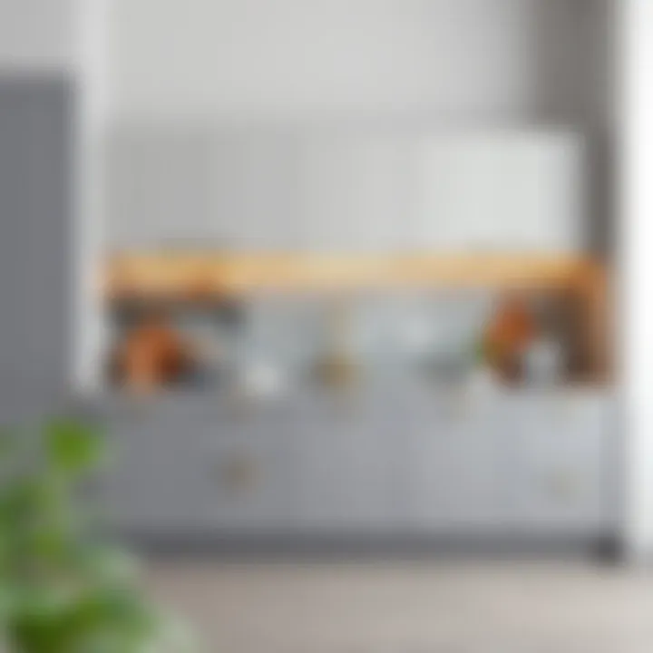 Notable Exploring the Aesthetic and Functionality of Matte Gray Kitchen Cabinets