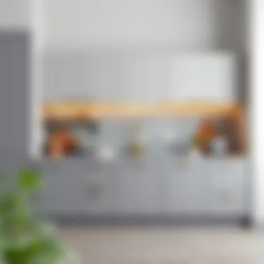 Notable Exploring the Aesthetic and Functionality of Matte Gray Kitchen Cabinets Notable Exploring the Aesthetic and Functionality of Matte Gray Kitchen Cabinets