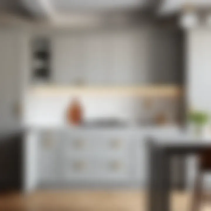 Exploring the Aesthetic and Functionality of Matte Gray Kitchen Cabinets Summary