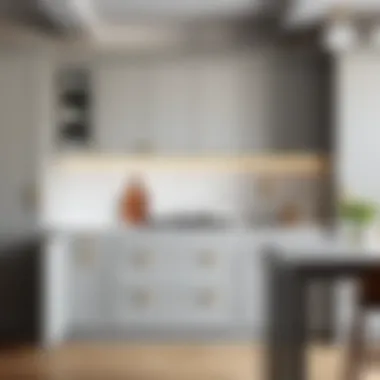 Exploring the Aesthetic and Functionality of Matte Gray Kitchen Cabinets Summary Exploring the Aesthetic and Functionality of Matte Gray Kitchen Cabinets Summary