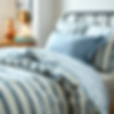 Notable Exploring the Aesthetic and Practical Aspects of Blue and White Pinstripe Comforters Notable Exploring the Aesthetic and Practical Aspects of Blue and White Pinstripe Comforters