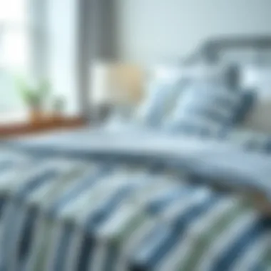 Exploring the Aesthetic and Practical Aspects of Blue and White Pinstripe Comforters Summary