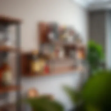 Creative Wall-Mounted Storage Creative wall-mounted liquor storage solution