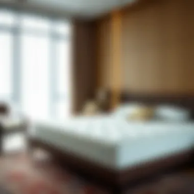 Exploring the Dynamics of Soft Comfortable Mattresses Summary Exploring the Dynamics of Soft Comfortable Mattresses Summary