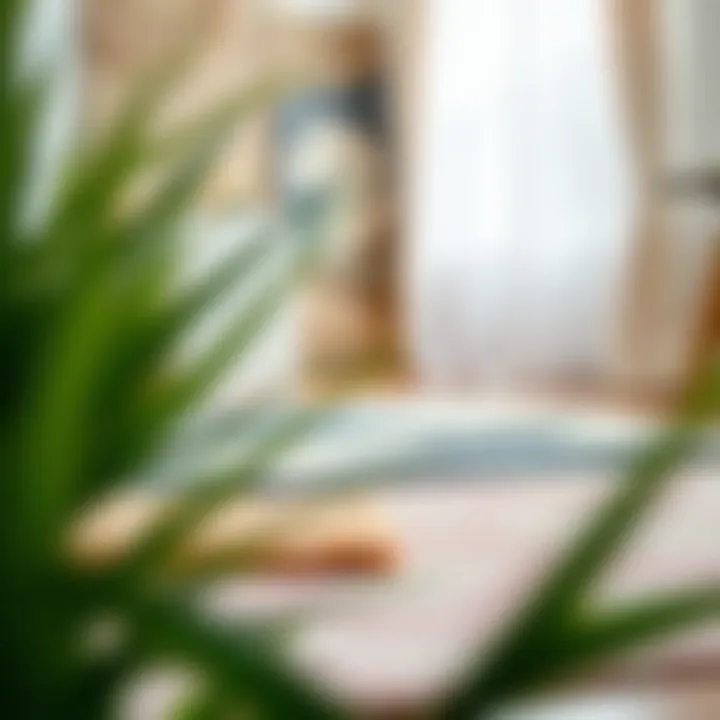 Diverse Styles to Suit Every Taste A variety of rugs showcasing different styles and textures