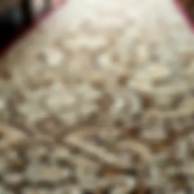 Close-up of luxurious texture of a 2 x 6 rug runner