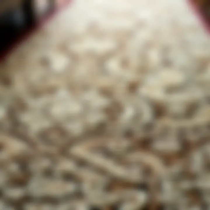 Close-up of luxurious texture of a 2 x 6 rug runner