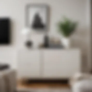 Elegant White Wood Storage Cabinet Elegant white wood storage cabinet in a modern living room