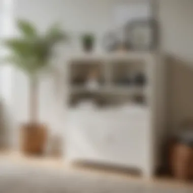 Styled White Wood Storage Cabinet White wood storage cabinet styled with decor items