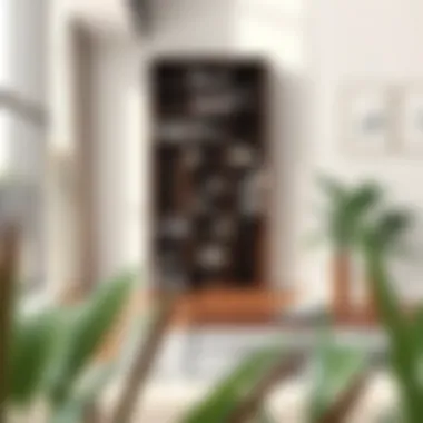 Elegant Tall Bookcase in Modern Living Room Elegant tall bookcase in modern living room
