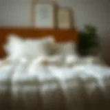 Exploring Twin Cotton Quilt Clearance: A Comprehensive Guide Introduction