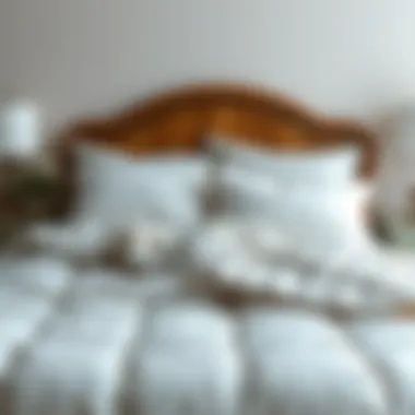 Notable Exploring Twin Cotton Quilt Clearance: A Comprehensive Guide Notable Exploring Twin Cotton Quilt Clearance: A Comprehensive Guide