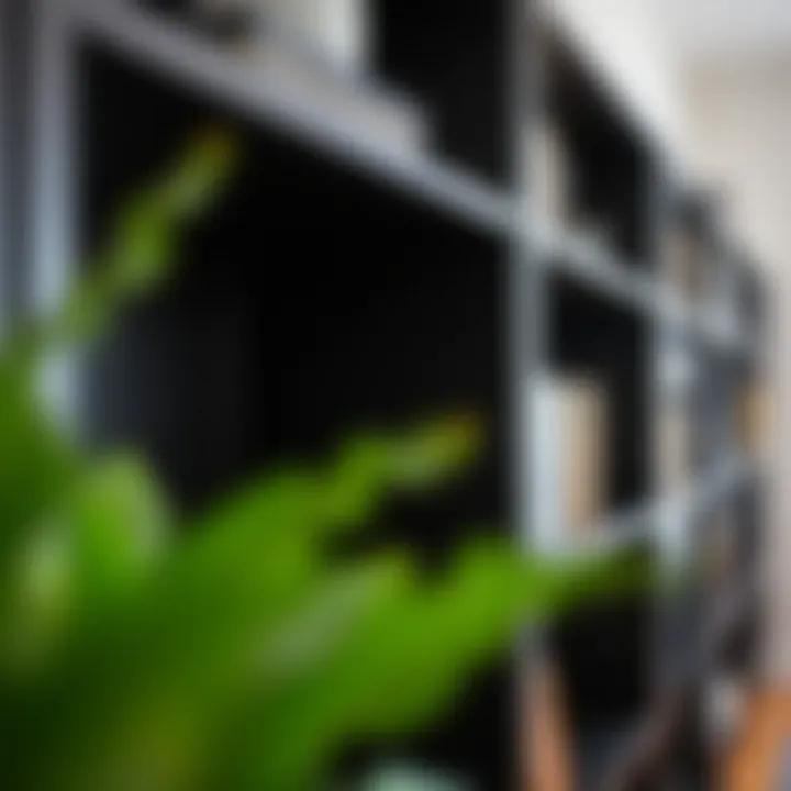 Adjustable Shelves for Enhanced Organization Close-up of adjustable shelves in a black bookcase highlighting organizational possibilities