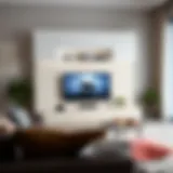 Stylish 24 Inch Wide Media Cabinet in a Modern Living Room Setting