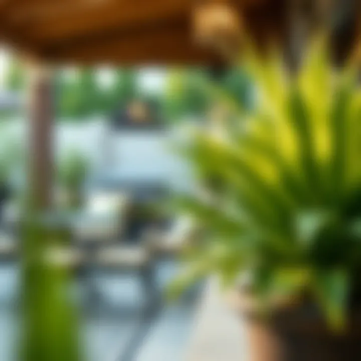 Close-up of high-quality faux plants in a patio setting