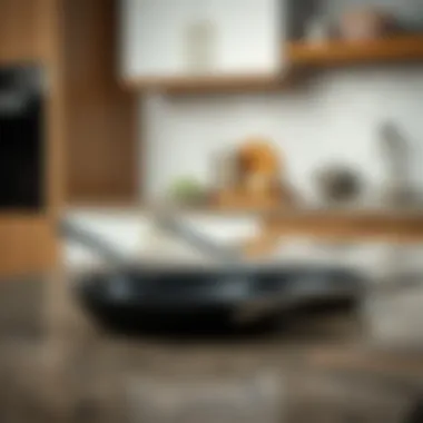 Comparison of Grease Shield Materials A comparison of various grease shield materials on a kitchen countertop.