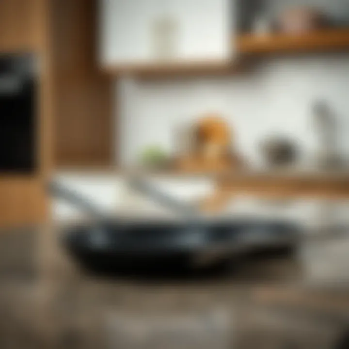 Comparison of Grease Shield Materials A comparison of various grease shield materials on a kitchen countertop.