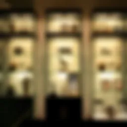 Elegant lighted glass display case showcasing collectibles