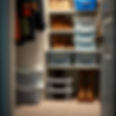 Organized Boot Storage in Closet Organized closet featuring neatly stored boots in plastic boxes