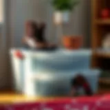 Innovative design of plastic shoe boxes for boots showcasing their storage capabilities